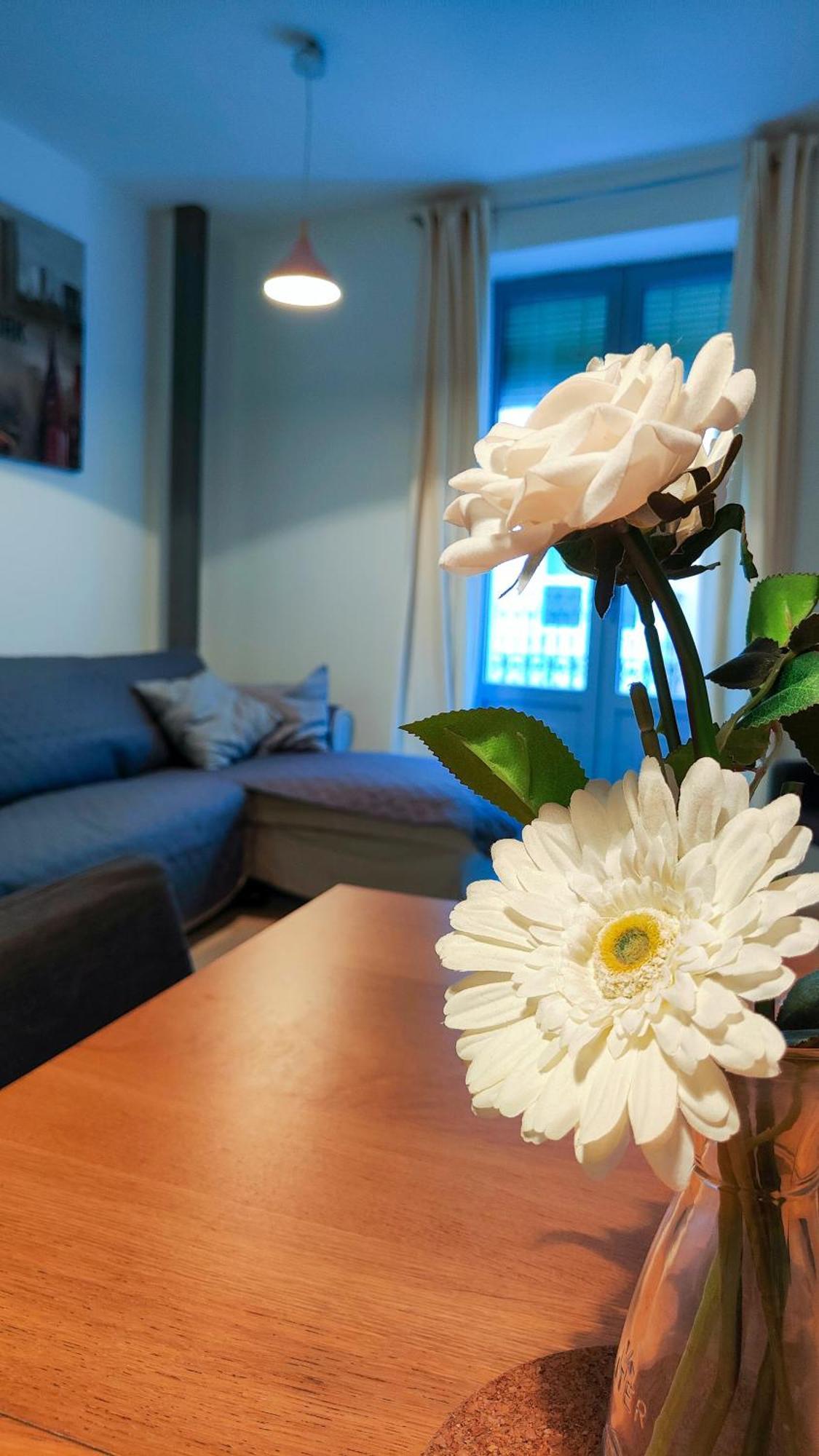 Apartment Palm Square - One Minute From The Sea!